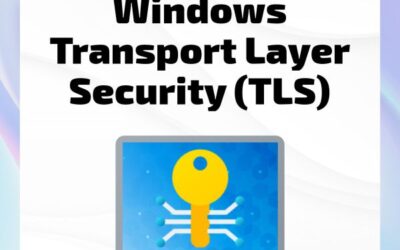 08d – LAB: Auditing Transport Layer Security (TLS) Settings
